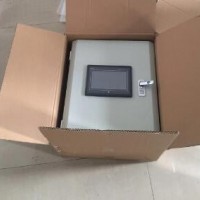 管道火花探测及熄灭装置(火花探测装置)