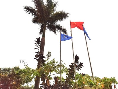 弹簧包布、一次性口罩布、香蕉套袋、育苗袋、铝材包装布图3