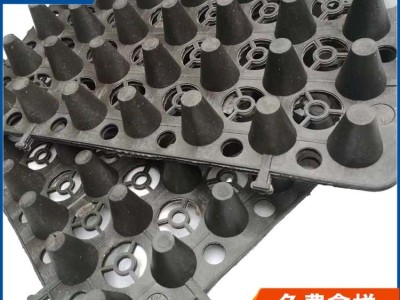 深圳市蓄排水板图3