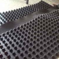 泰安凸壳型排水板绿化排水板厂家直销