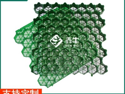 娄底市HDPE车位绿化种草植草砖图2