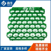 娄底市HDPE车位绿化种草植草砖