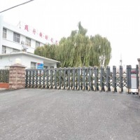 泰安迎金庭院别墅平移门的电机分类