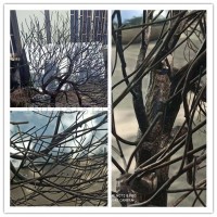 襄阳小型景观树杈雕塑 仿植物树枝摆件