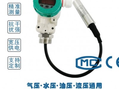 投入式液位传感器图1