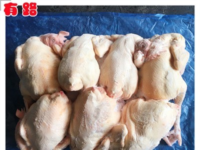 有路老母鸡_蛋鸡种鸡冷冻鸡生产厂家_500天以上的冻鸡产品图1