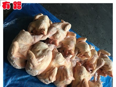 有路老母鸡_蛋鸡种鸡冷冻鸡生产厂家_500天以上的冻鸡产品图3