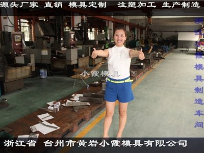 浙江塑胶汽车内饰模具结构图3