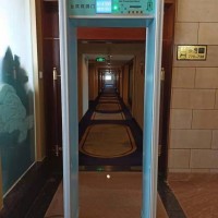 广东出租金属探测安检门、热成像测温