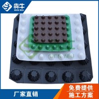 南宁20厚车库排水板售后保障