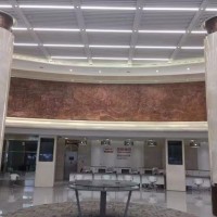 平湖酒店大厅悬挂铜浮雕 锻造紫铜壁画定制