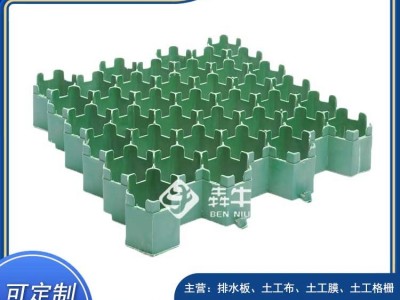 佛山HDPE车位绿化种草植草格质量可靠