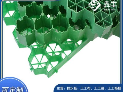 佛山HDPE车位绿化种草植草格质量可靠图3