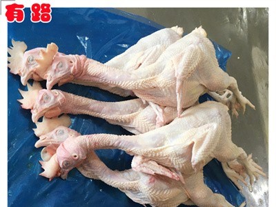 579公鸡批发价格_冷冻579大公鸡_山东生产厂家供全国各地图1