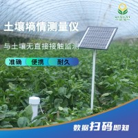 厂家TDR管式水分测量仪土壤墒情测量