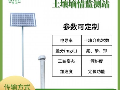 厂家TDR管式水分测量仪土壤墒情测量仪图2