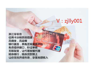 信用卡养卡app智能代还软件开发图4