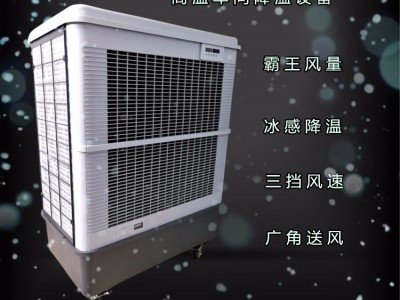 雷豹多功能移动冷风机 工业环保降温制冷空调图2