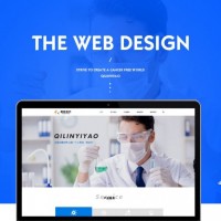 网站建设案例：麒麟医药官网