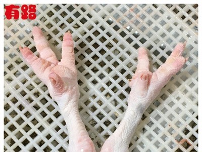 冷冻老鸡爪_批发价格_厂家货源_冻鸡生产厂家直销图3