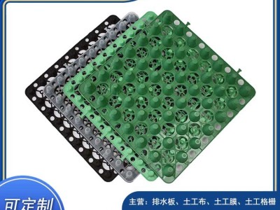 聊城园林绿化蓄排水板款式新颖图3