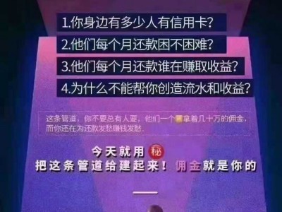 智能代还软件开发，人人都能当老板，小投资高回报图2
