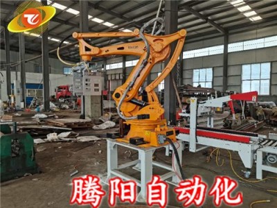 机器人码垛机带你进入不-样的包装出产