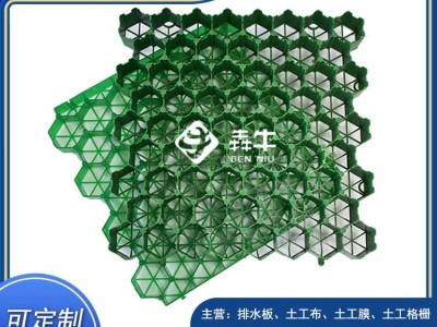 金华消防车道生活社区停车场塑料植草格款式新颖图3