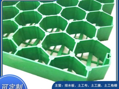 金华消防车道生活社区停车场塑料植草格款式新颖图4