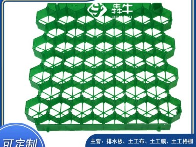 金华消防车道生活社区停车场塑料植草格款式新颖图5