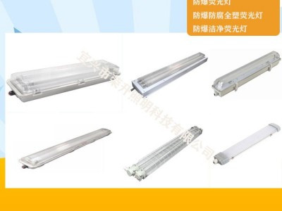 BAY51-Q防爆防腐全塑荧光灯IP65220V双管