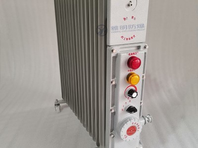 BDR-2000W220V11片防爆电热油汀取暖器图1