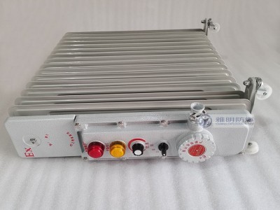 BDR-2000W220V11片防爆电热油汀取暖器图2