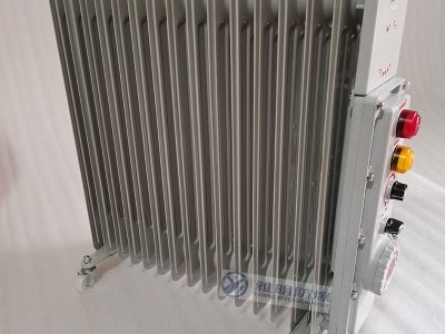 BYT-3000WAC220VWF1粉尘防爆电暖器图3