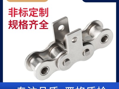 苏州环球 标准不锈钢链条