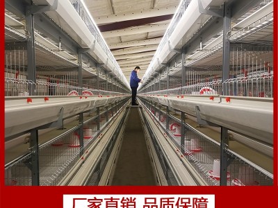 养鸡场养鸡用肉鸡笼立式鸡笼层叠鸡笼鸡笼厂家山东金石农牧机械图2