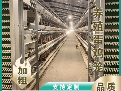 肉鸡笼鸡笼鸭笼自动化养鸡设备山东金石农牧机械图2