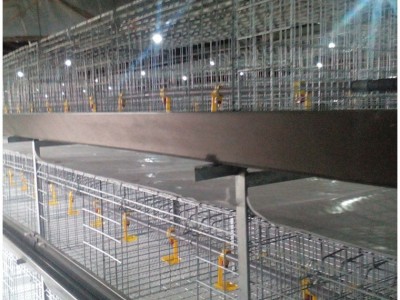 鸡笼鸭笼笼养设备养殖机械肉鸡鸡笼山东金石农牧机械图2