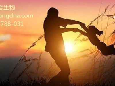 DNA亲子鉴定STR分型与SNP分型区别?53650081