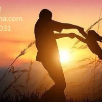 DNA亲子鉴定STR分型与SNP分型区别？53650081