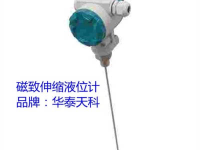 河北磁致伸缩液位计  24VDC法兰连接