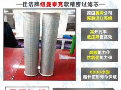 无锡纽曼泰克滤芯C-250-85 P-250-85图2