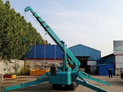 蜘蛛吊车价格 高空作业吊车 狭窄空间吊装设备图3