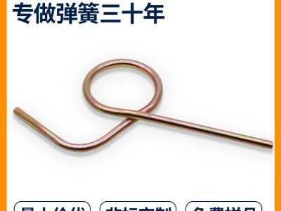 不锈钢异形弹簧镀锌异形弹簧机械配件弹簧遥控器异形弹簧非标图3