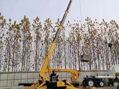 微型起重机 5吨蜘蛛吊车 聚坤供应