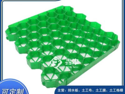 丽水花园护坡消防通道植草格栅款式新颖图2