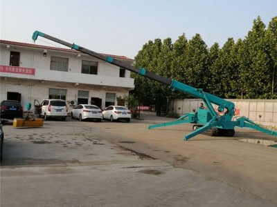 履带蜘蛛吊 微型起重机 可移动小吊车图2