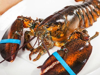 冷冻海鲜深圳机场进口报关行