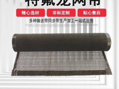 可定制耐高温耐药性防粘食品烘干传送带特铁氟龙网格输送带布带图1