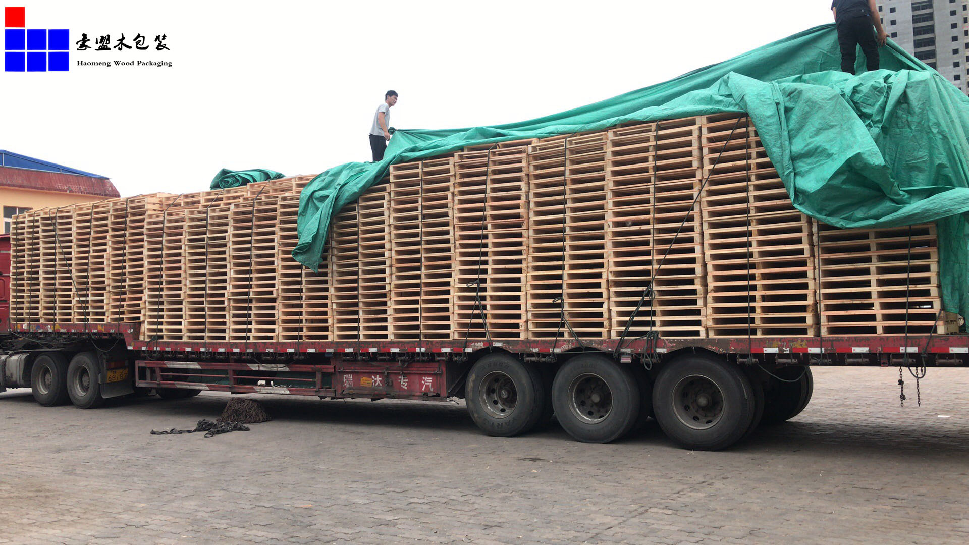 微信图片_20180622164354